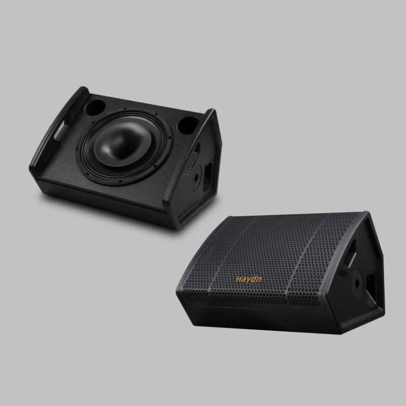 Monitor Speaker