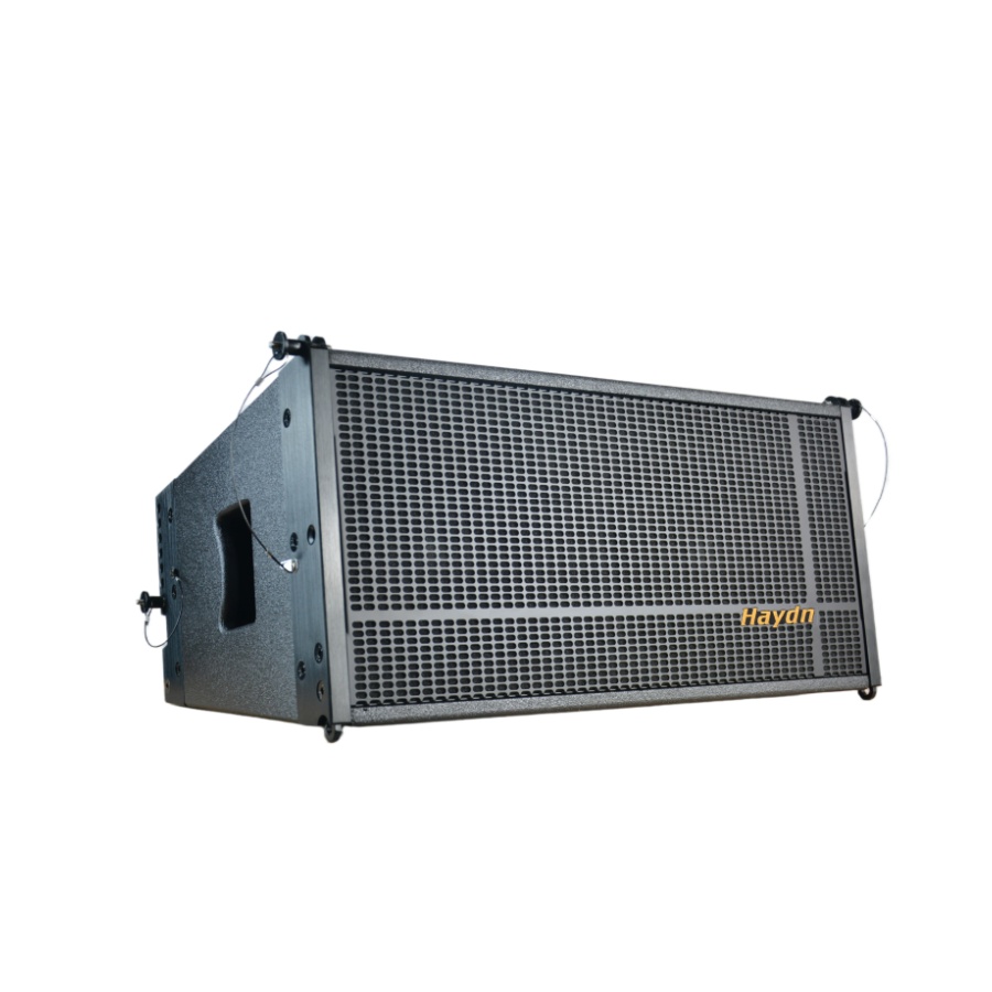 HL2165 dual 10" passive line array speaker